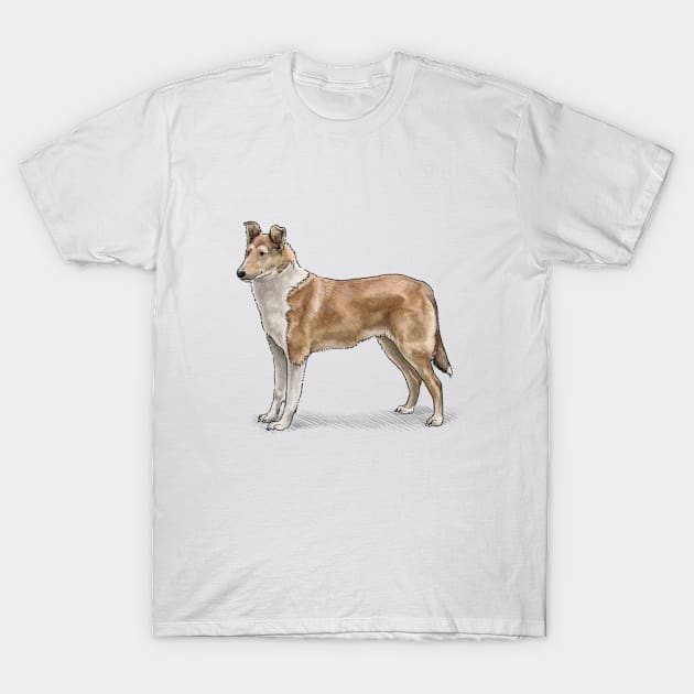 The Sable Smooth Collie Dog T-Shirt by Elspeth Rose Design